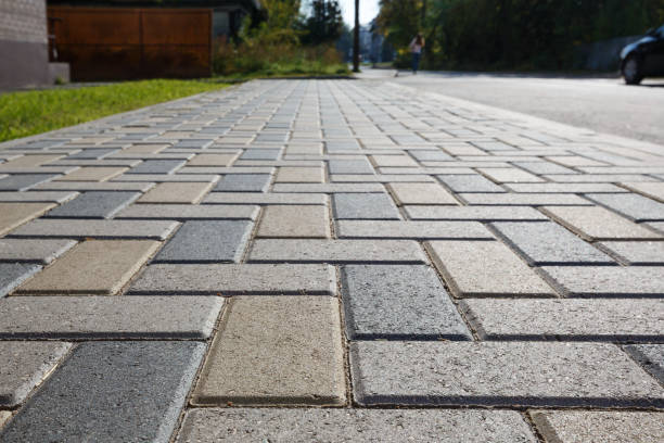 Best Driveway Pavers Near Me  in Redwood Falls, MN